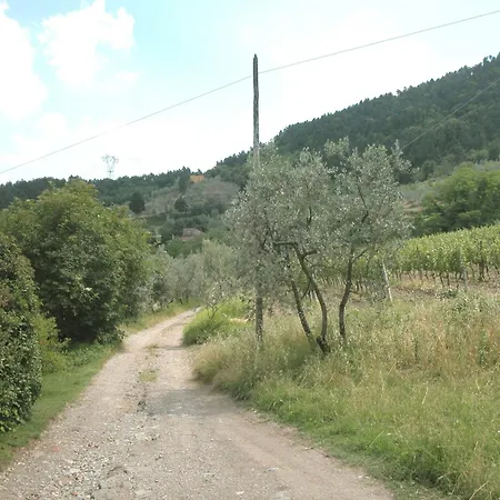 Holiday home Cosy In Bacchereto With Swimming Pool