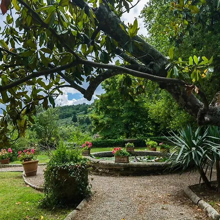 Cosy In Bacchereto With Swimming Pool *