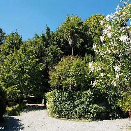 Cosy In Bacchereto With Swimming Pool * Carmignano